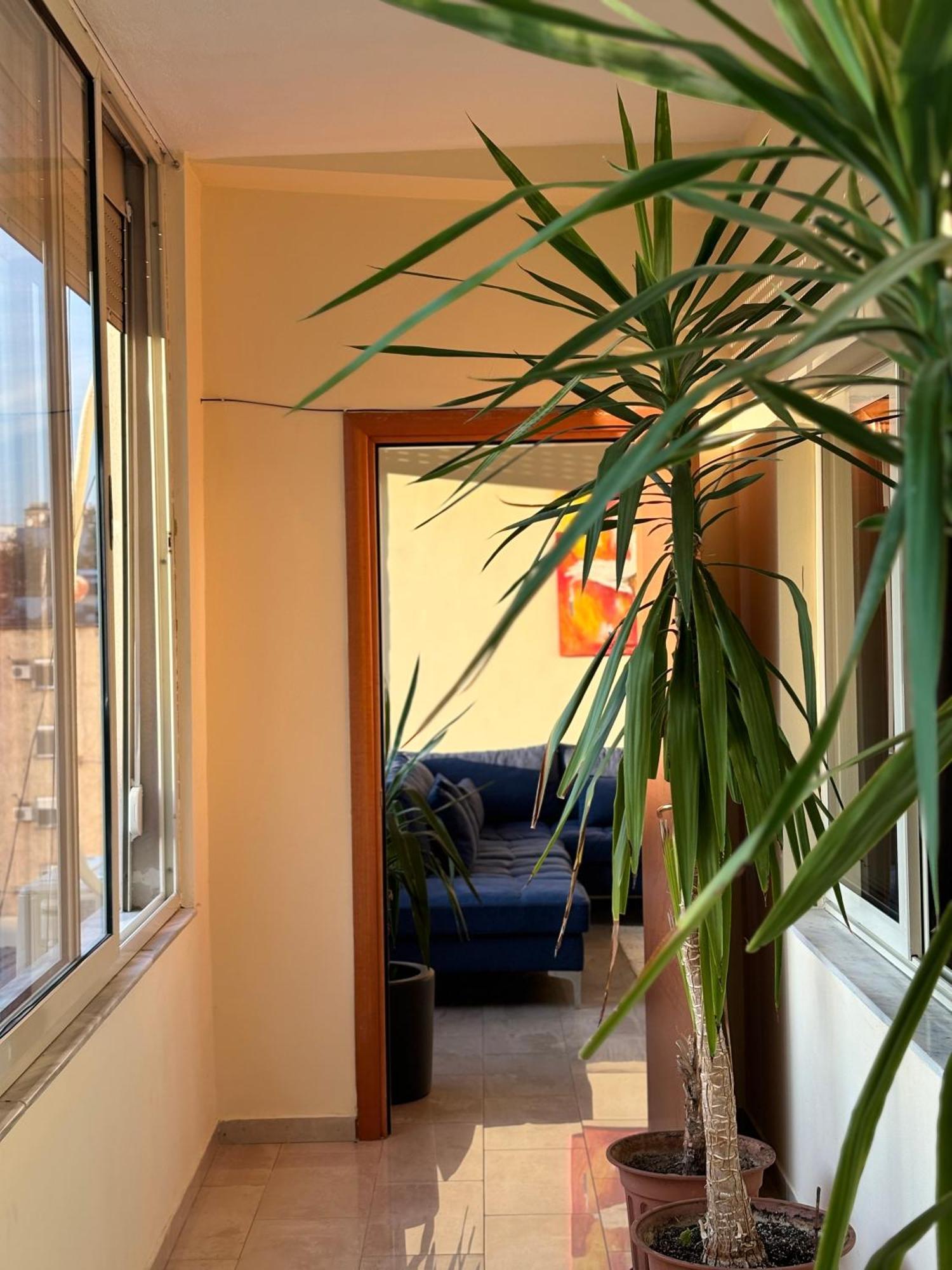 Tam 2Bdr Center Taiwan Apartment Tiran Dış mekan fotoğraf