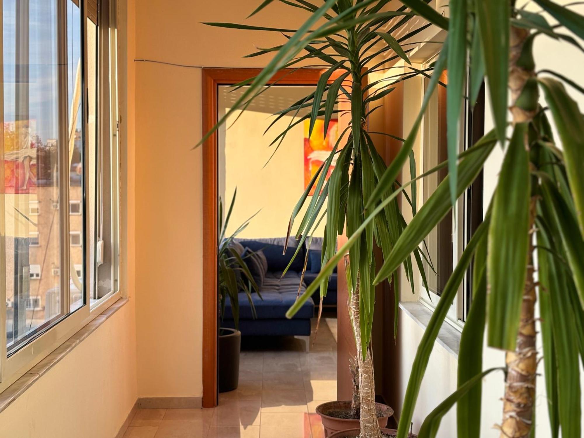 Tam 2Bdr Center Taiwan Apartment Tiran Dış mekan fotoğraf