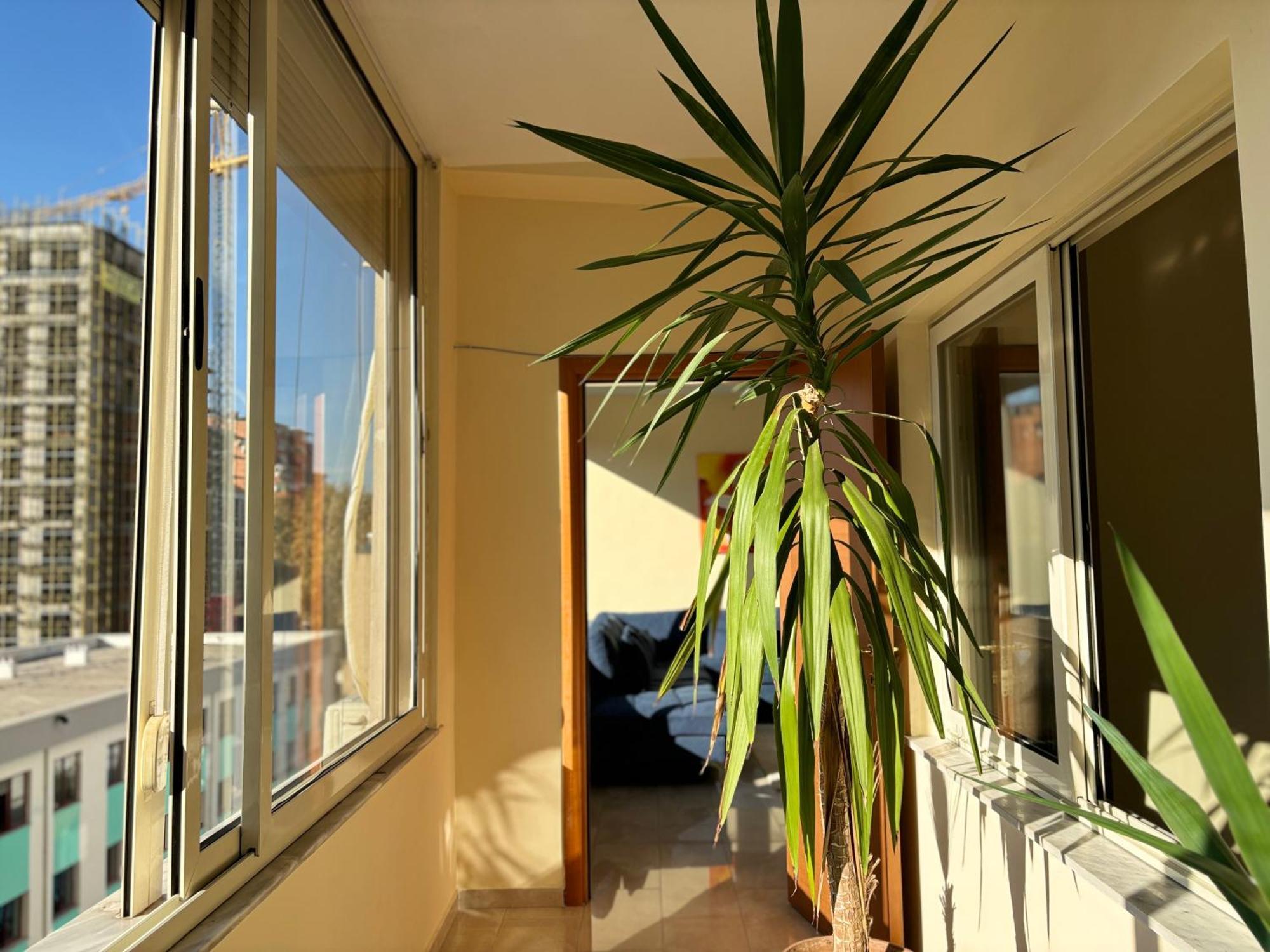Tam 2Bdr Center Taiwan Apartment Tiran Dış mekan fotoğraf